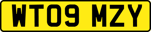 WT09MZY