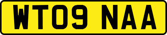 WT09NAA
