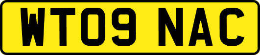 WT09NAC