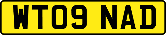 WT09NAD