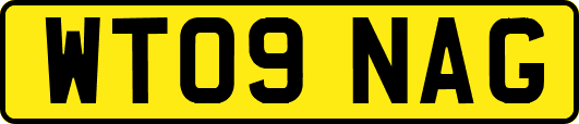WT09NAG