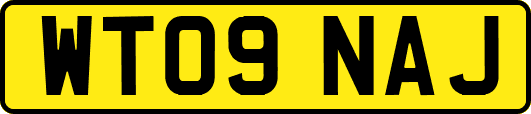 WT09NAJ