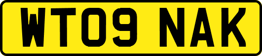 WT09NAK