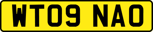 WT09NAO