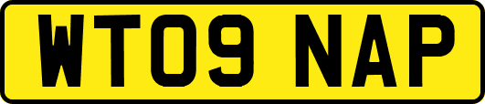 WT09NAP