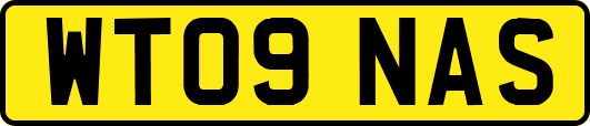 WT09NAS