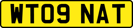 WT09NAT