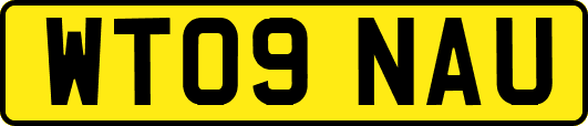 WT09NAU