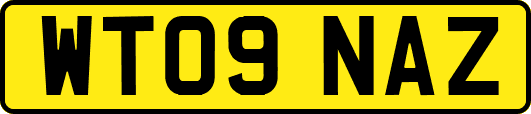 WT09NAZ