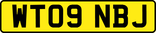 WT09NBJ