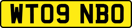 WT09NBO
