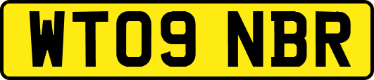 WT09NBR