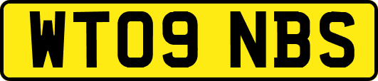 WT09NBS