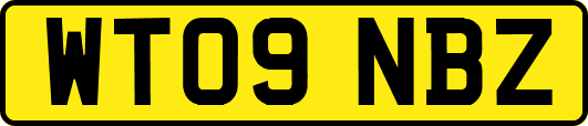 WT09NBZ