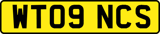 WT09NCS