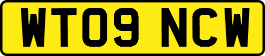 WT09NCW