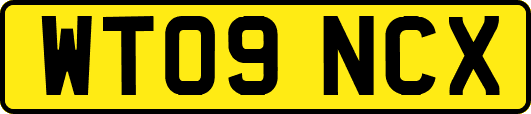 WT09NCX