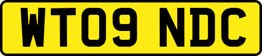 WT09NDC