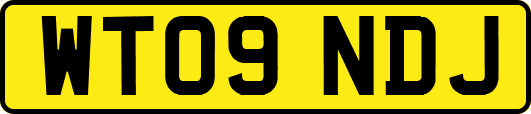 WT09NDJ