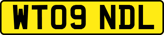 WT09NDL