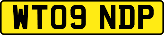 WT09NDP