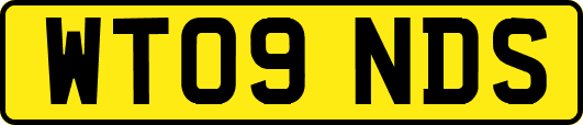 WT09NDS