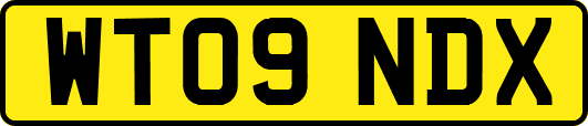 WT09NDX