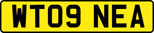 WT09NEA