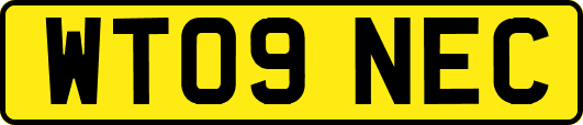 WT09NEC