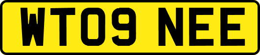 WT09NEE