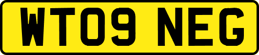 WT09NEG