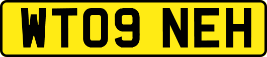 WT09NEH