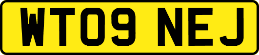 WT09NEJ
