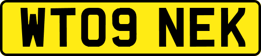 WT09NEK