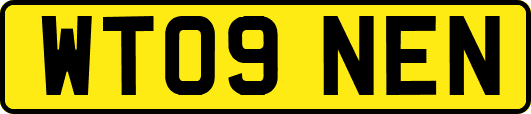 WT09NEN
