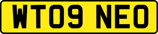 WT09NEO