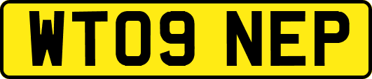 WT09NEP