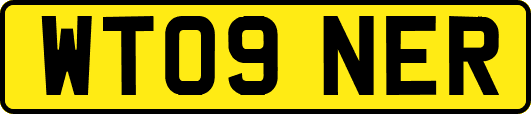 WT09NER