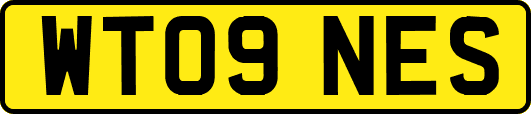 WT09NES