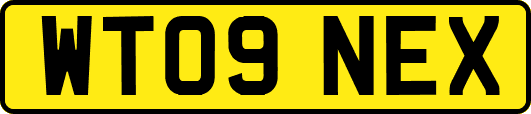 WT09NEX