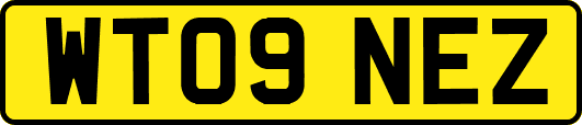 WT09NEZ
