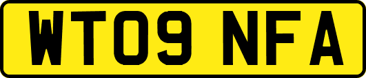 WT09NFA