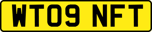WT09NFT