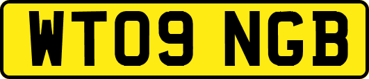 WT09NGB