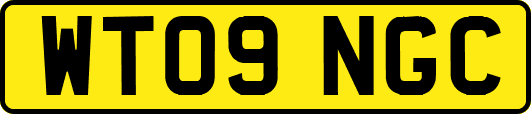 WT09NGC