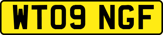 WT09NGF