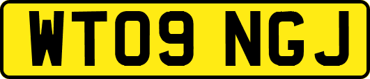 WT09NGJ