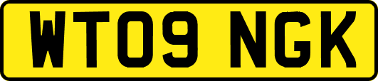 WT09NGK
