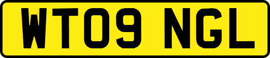 WT09NGL