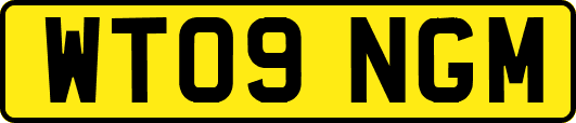 WT09NGM